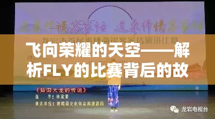 飞向荣耀的天空——解析FLY的比赛背后的故事与意义