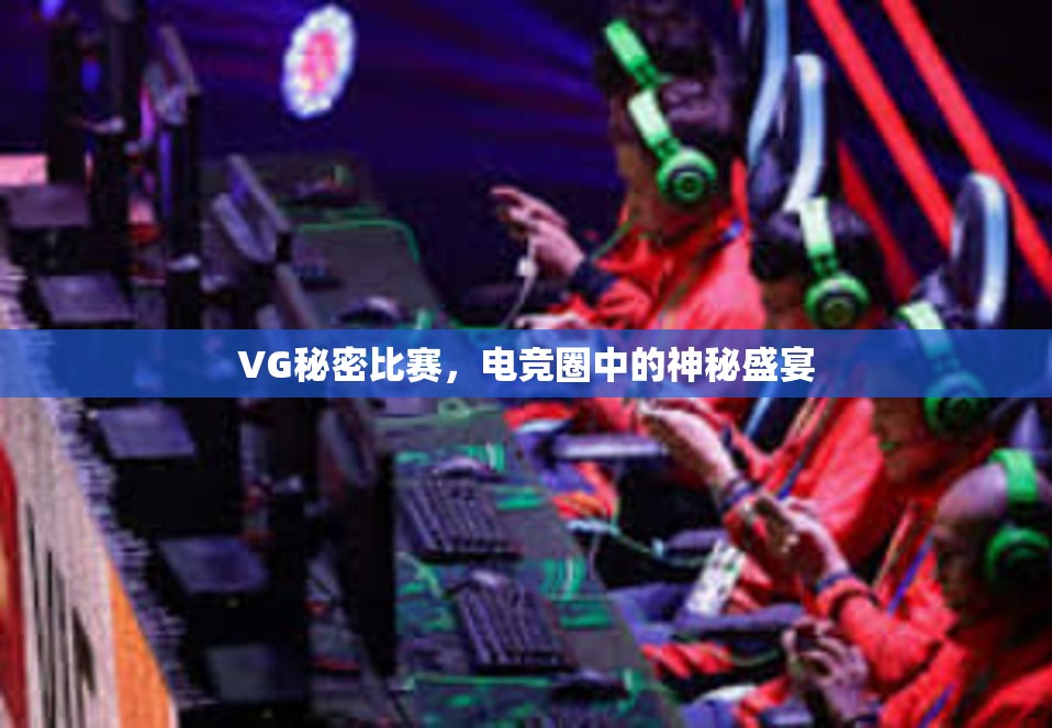 VG秘密比赛，电竞圈中的神秘盛宴