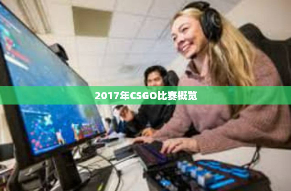 2017年CSGO比赛概览