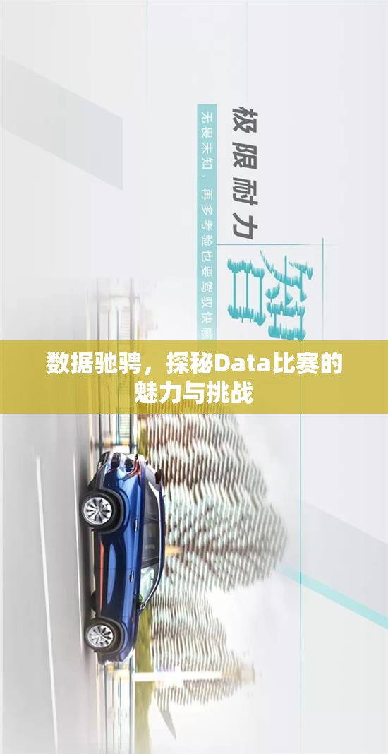 数据驰骋，探秘Data比赛的魅力与挑战