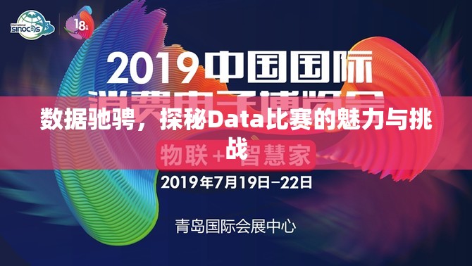 数据驰骋，探秘Data比赛的魅力与挑战